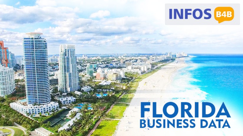 Florida Business Data